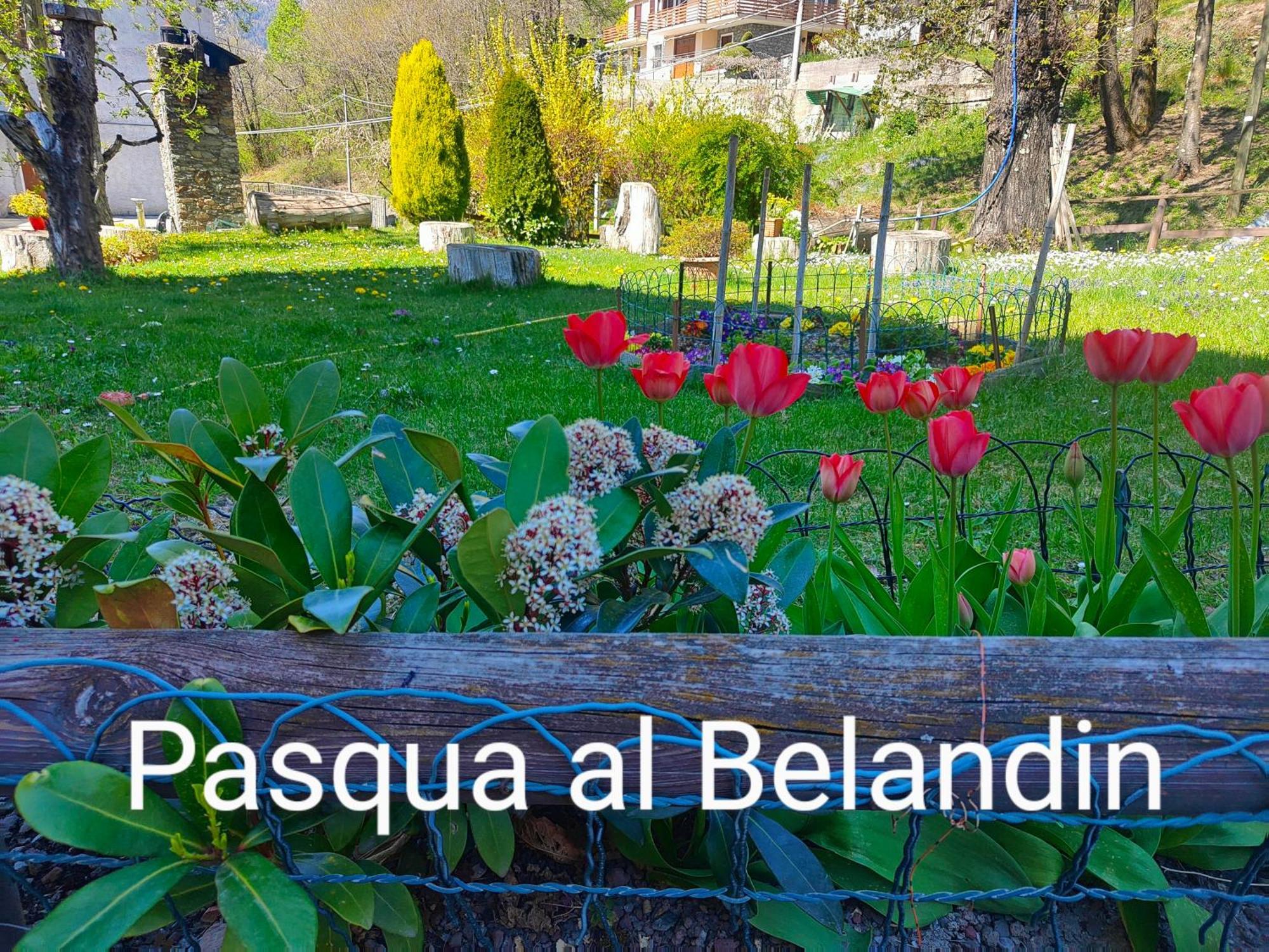 Belandin Ristorante Hotel تيجليو المظهر الخارجي الصورة